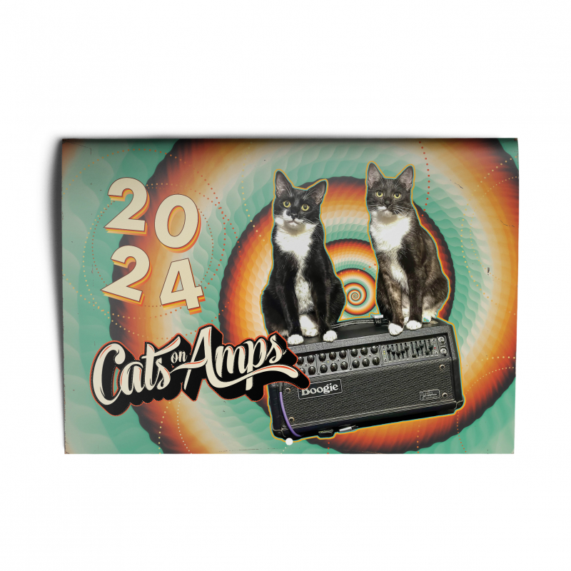 Cats on Amps - Calendar 2024 Calendar